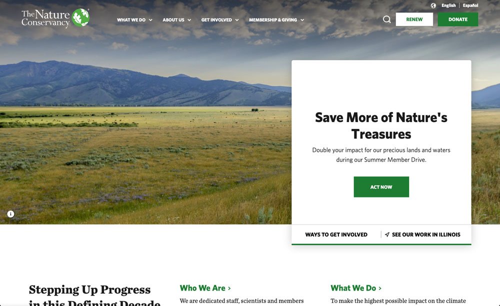 Clean Non-Profit Website Design Example