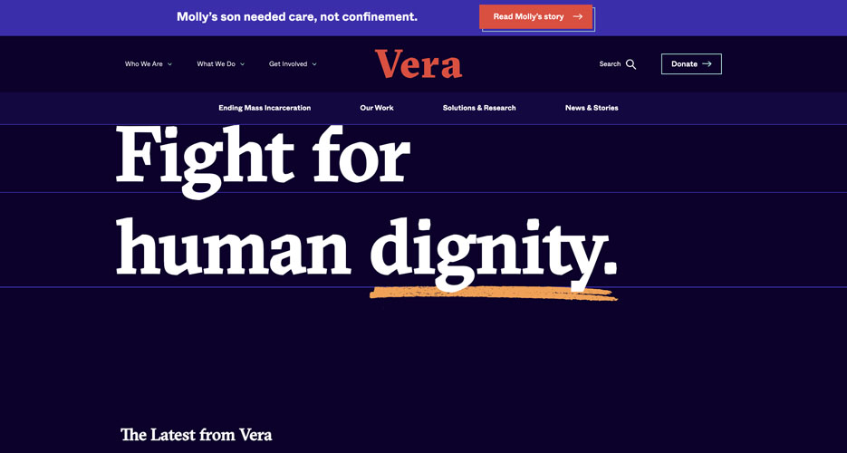 vera_non_profit_cluttered_navigation_web_design_trend.jpg Cluttered Navigation Non-Profit Website Design Example