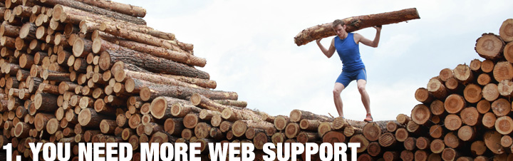 1. You Need More Web Support
