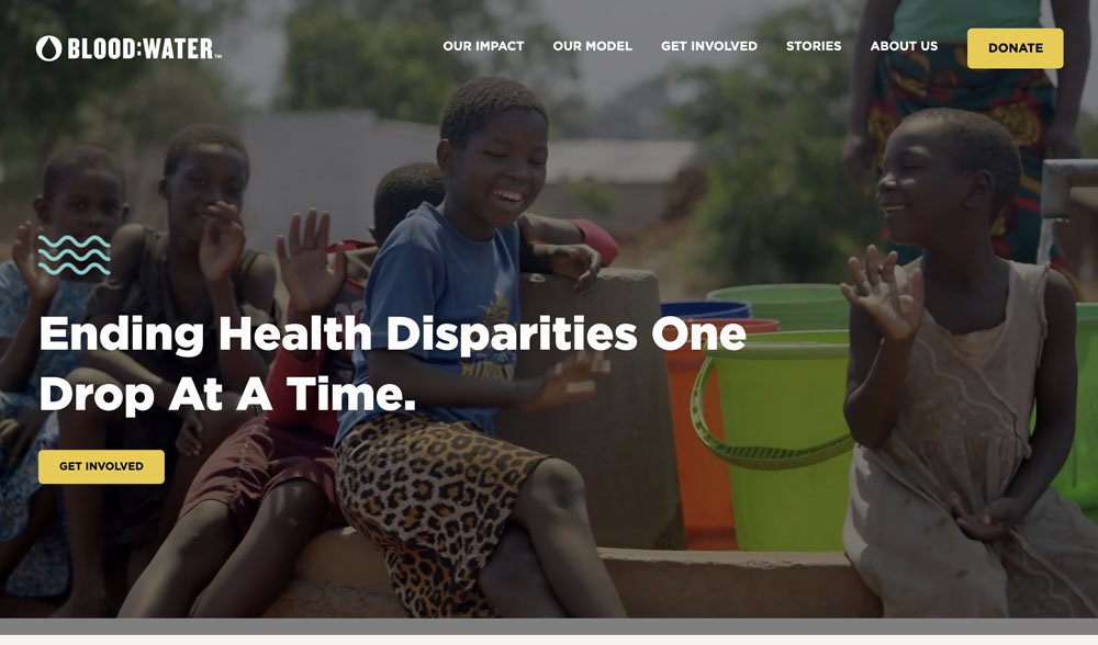 Simple Navigation Non-Profit Website Design Example