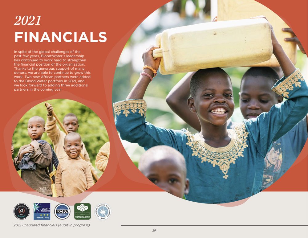 Blood:Water Best Printed Non-Profit Financial Report Example