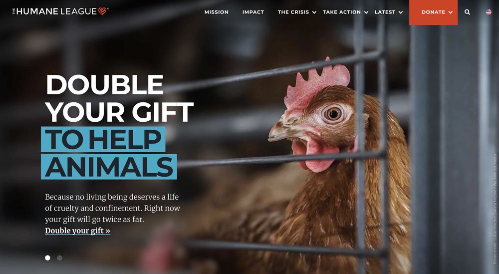 Call to Action Style Hero Message Example for Non-Profits