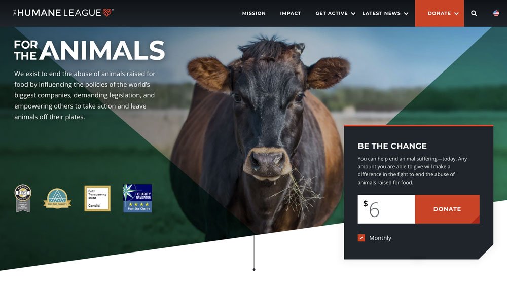 Simple Navigation Non-Profit Website Design Example