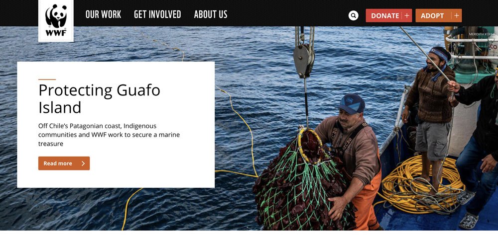 Clear Navigation Non-Profit Website Design Example