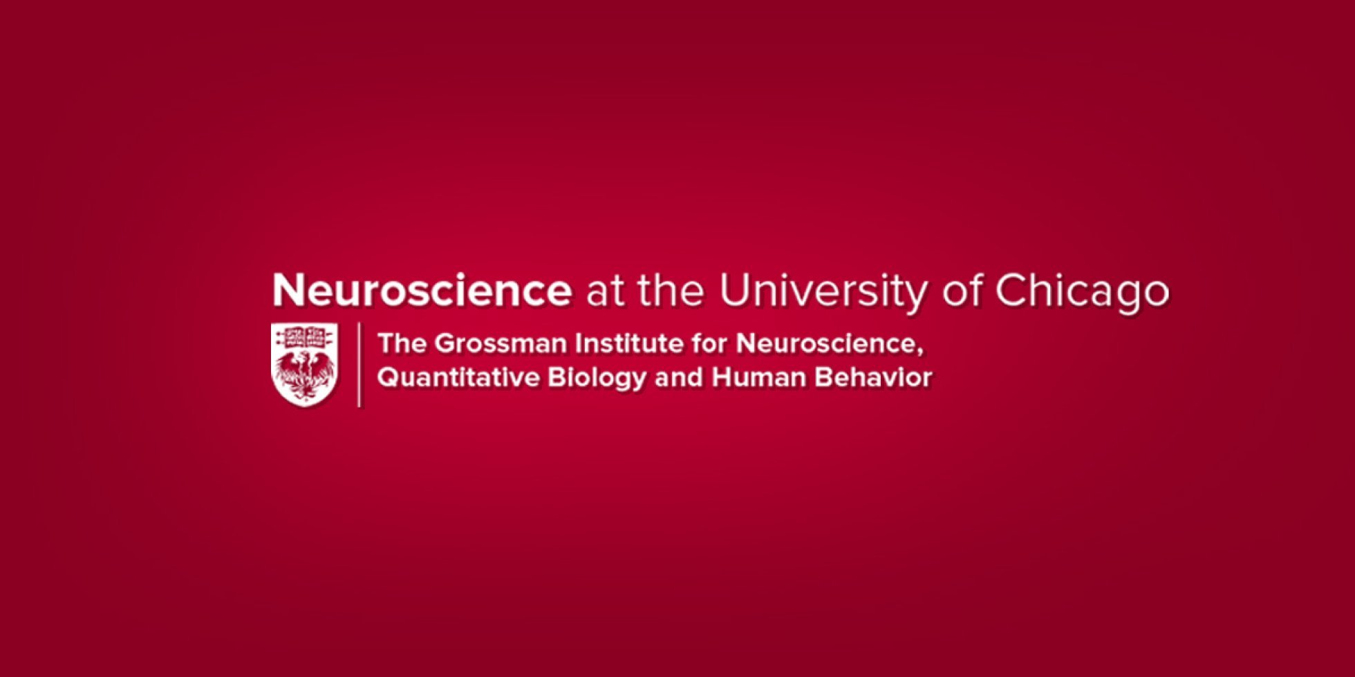 University of Chicago Grossman Institute Website Redesign