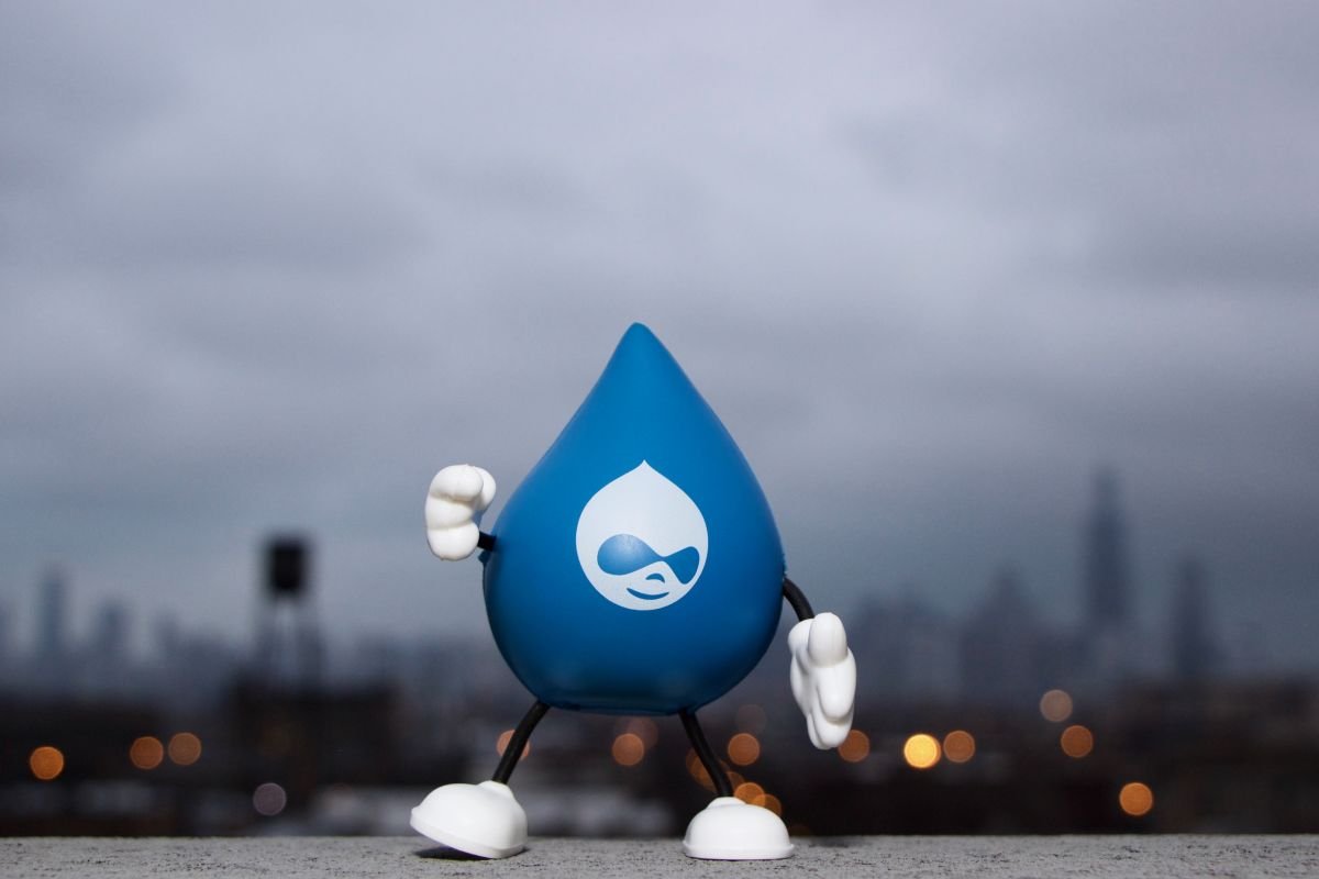 7 Drupal Performance Experts in Chicago