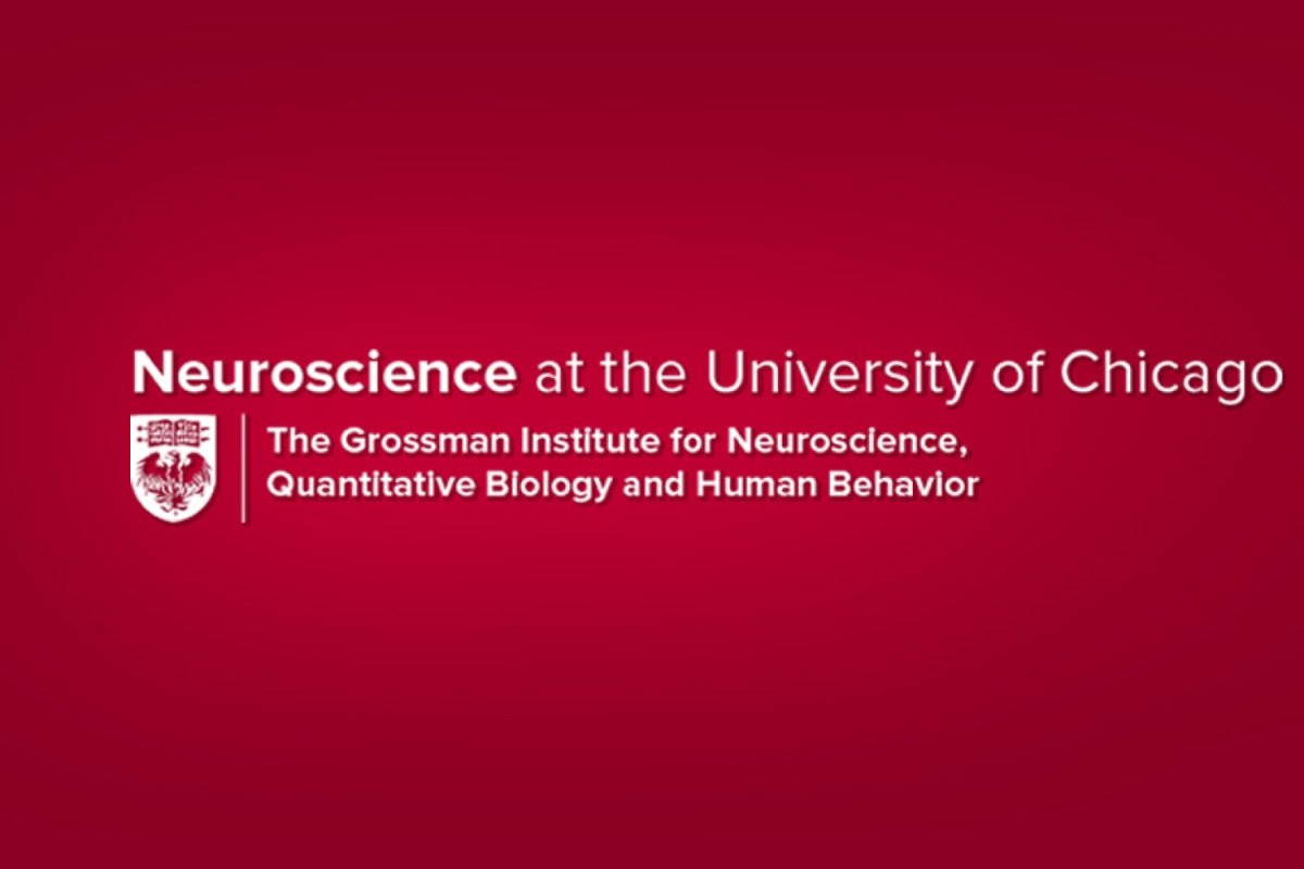 University of Chicago Grossman Institute Website Redesign