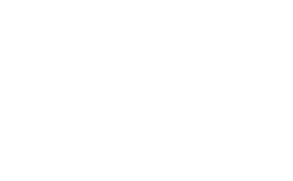 The University of Chicago Neuroscience Institute