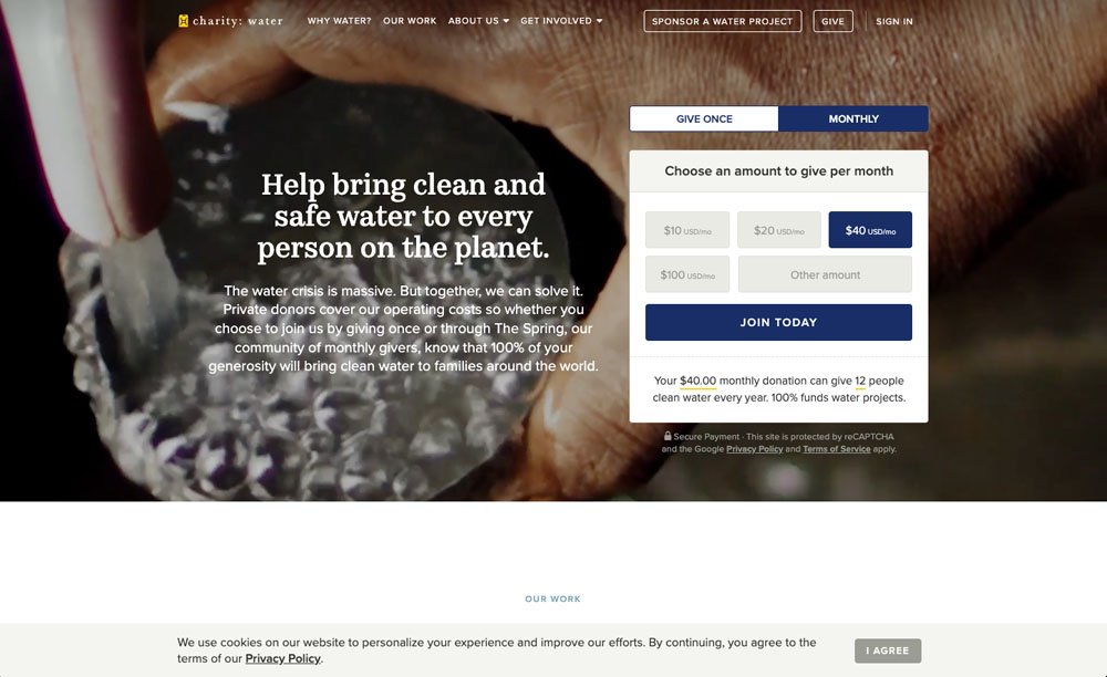 Non-Profit Website Design Example