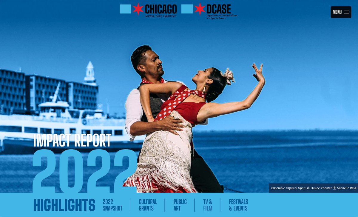 Chicago Digital Annual Report Web Design Company