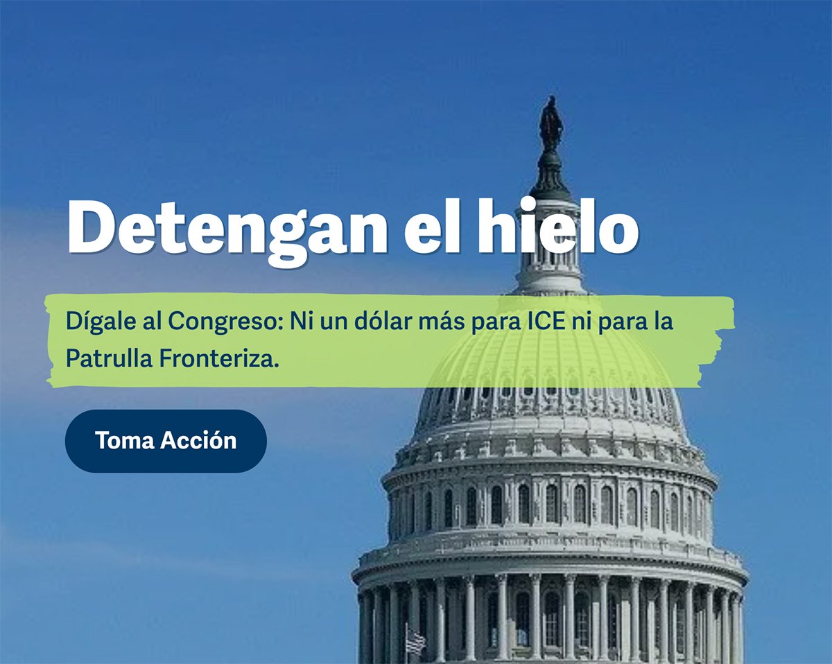 NIJC: Non-Profit Rebranding and Website Redesign Multilingual Content